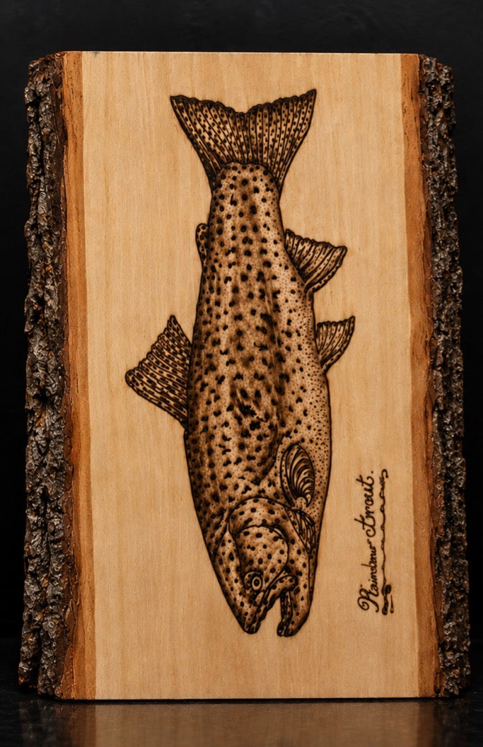 Rainbow Trout