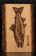 Rainbow Trout