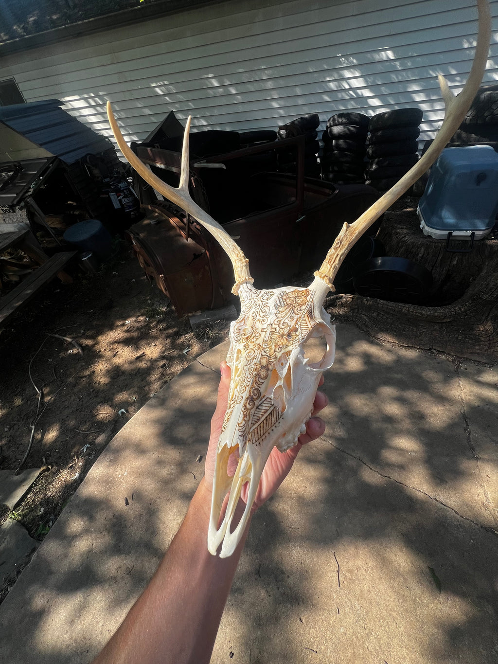 Deer Skull with Western hand-burned design